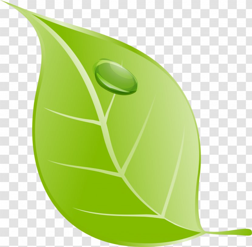 Leaflet Clip Art - Green - Pest Transparent PNG