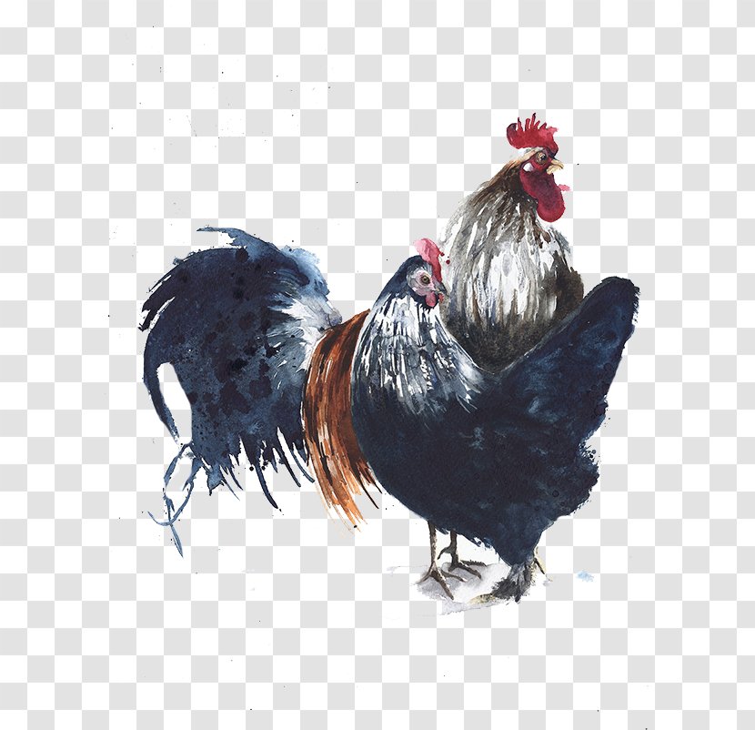 Rooster Chicken Bird Watercolor Painting Illustration - Big Black Cock Transparent PNG