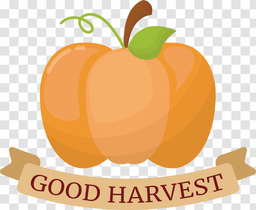 Thanksgiving Transparent PNG