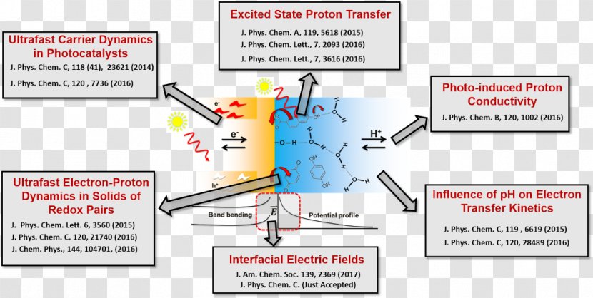 Chemical Reaction Biochemistry Diagram Cellular Respiration Electron Transfer - Material Transparent PNG