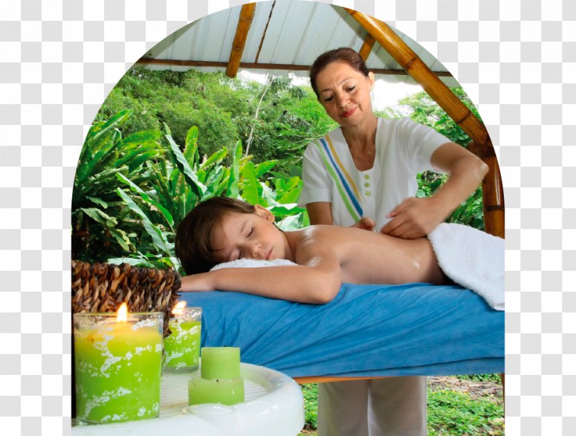 Natural Image Center Of Aesthetic Medicine And Spa Massage Day Beauty - Nature Kids Transparent PNG