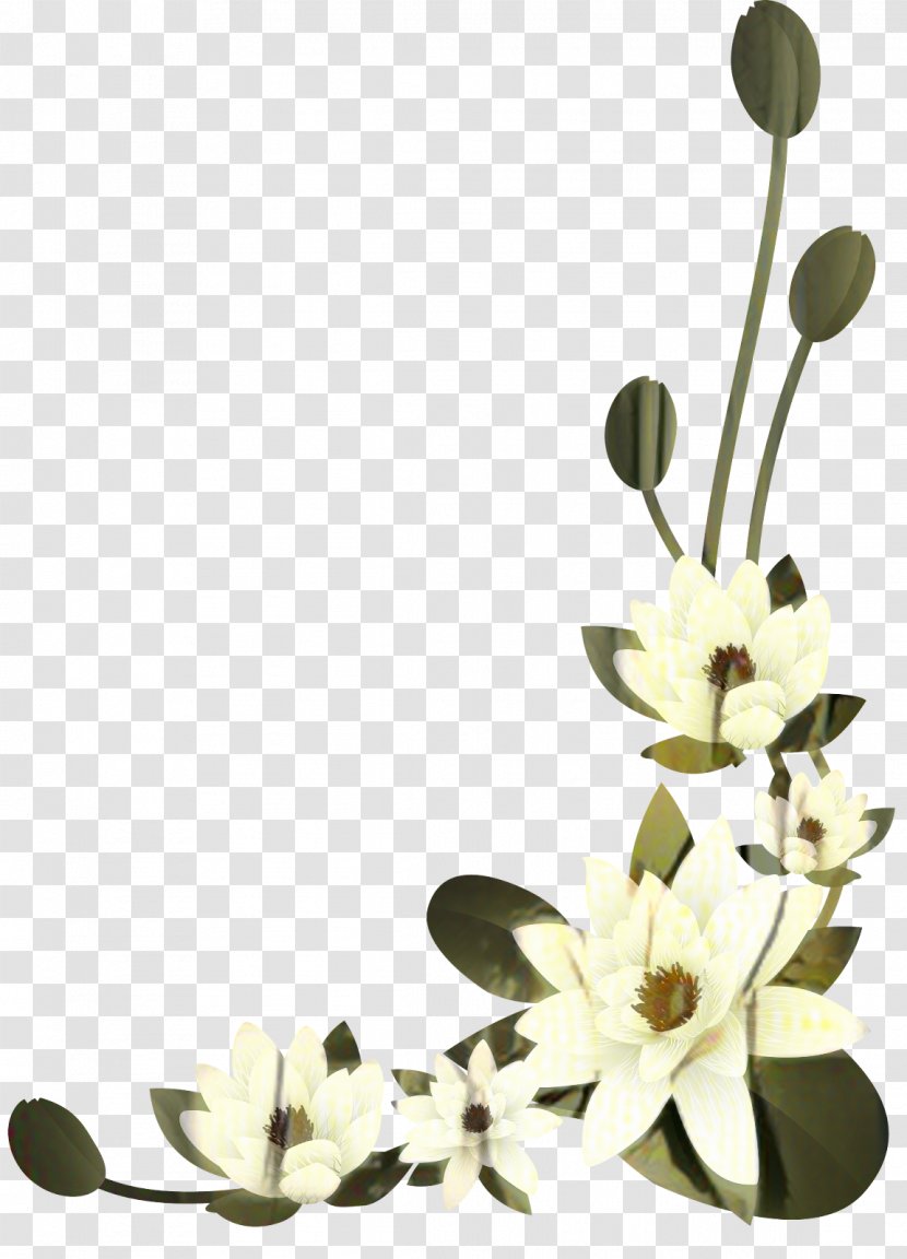 Floral Design Cut Flowers Petal - Branching Transparent PNG