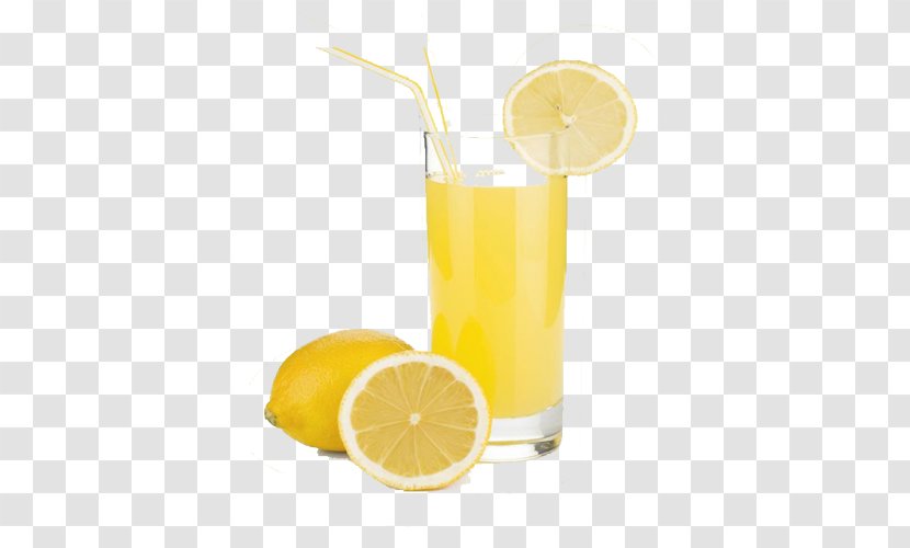 Lemon Juice Lemonade Squash - Citrus Transparent PNG