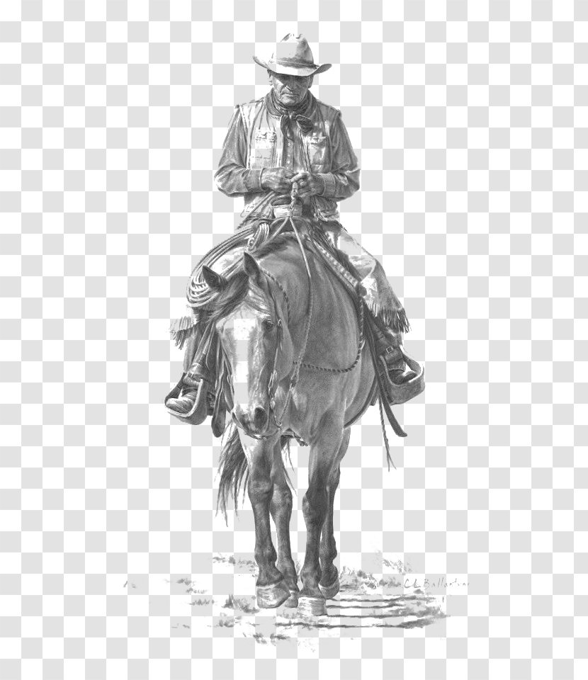 Horse American Frontier Cowboy Drawing - Mane - Rider Transparent PNG