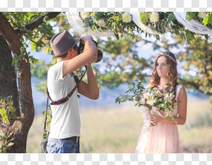 Photographer Stock Photography Wedding Royalty-free - Plant Transparent PNG