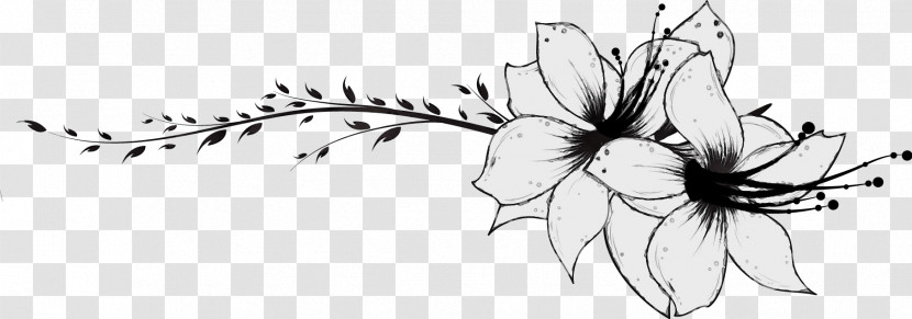 Black-and-white Plant Flower Petal Wildflower Transparent PNG