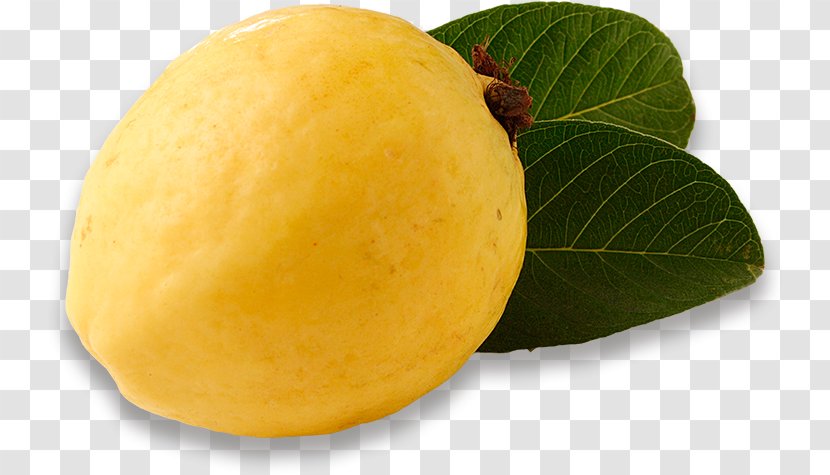 Citron Lemon Superfood - Organic Food Items Transparent PNG