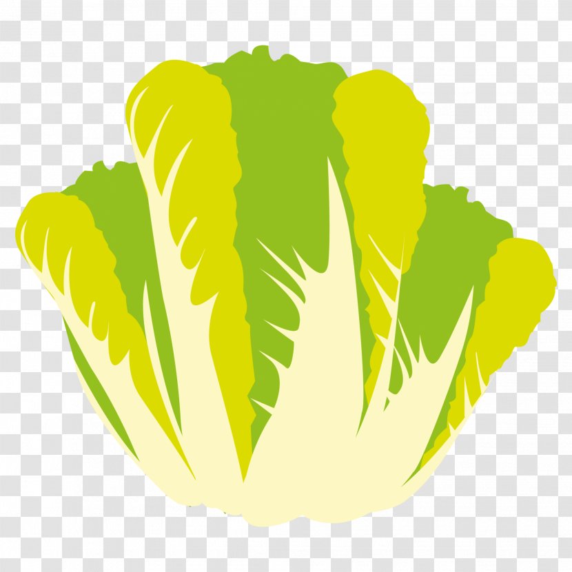 Vegetable Food Wrap Lettuce Clip Art - Variety Transparent PNG