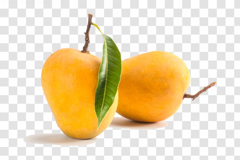 Alphonso Mango Mangifera Indica Totapuri Juice - Clementine Transparent PNG