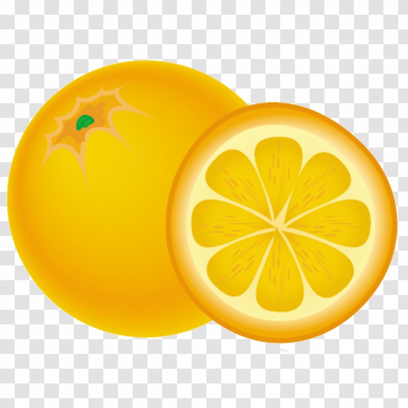 Swedish Cuisine Fruit Flashcard Drawing - Citron - Amarillo Naranja Transparent PNG
