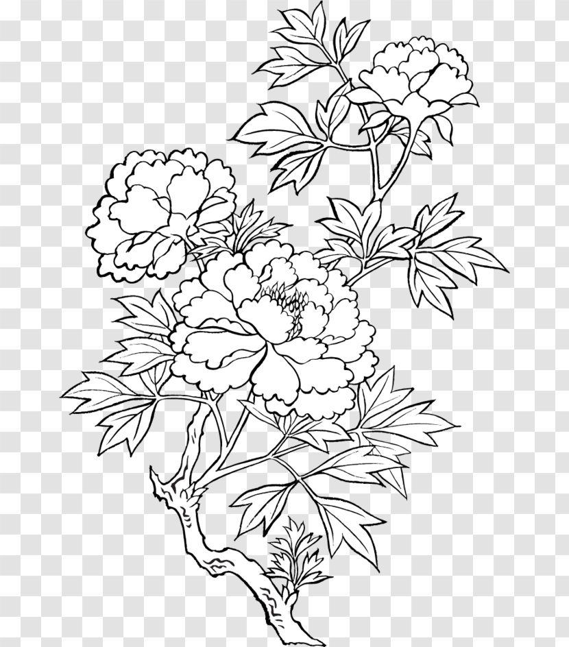 Drawing Peony Sketch - Visual Arts Transparent PNG