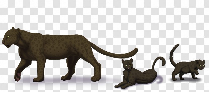 Big Cat Terrestrial Animal Puma Wildlife - Carnivoran - African Leopard Transparent PNG