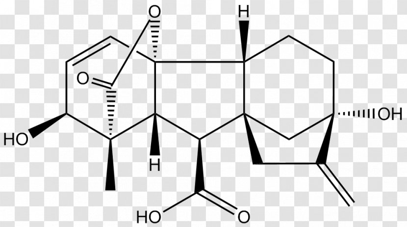 Gibberellin Gibberellic Acid Plant Hormone Chemistry - Drawing Transparent PNG