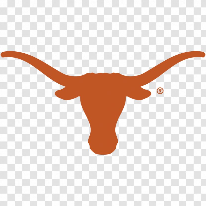 Texas Longhorns Football Women's Basketball Men's Baseball - Tree - Rugby Transparent PNG