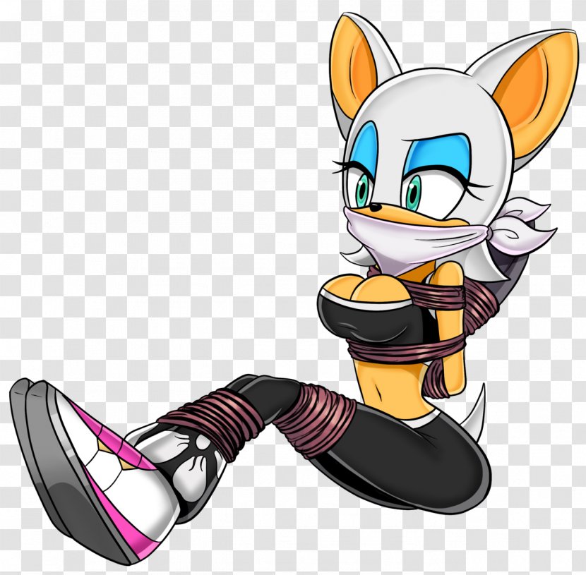Rouge The Bat Amy Rose Sonic Riders Princess Sally Acorn Hedgehog - Flower - Stripped Transparent PNG