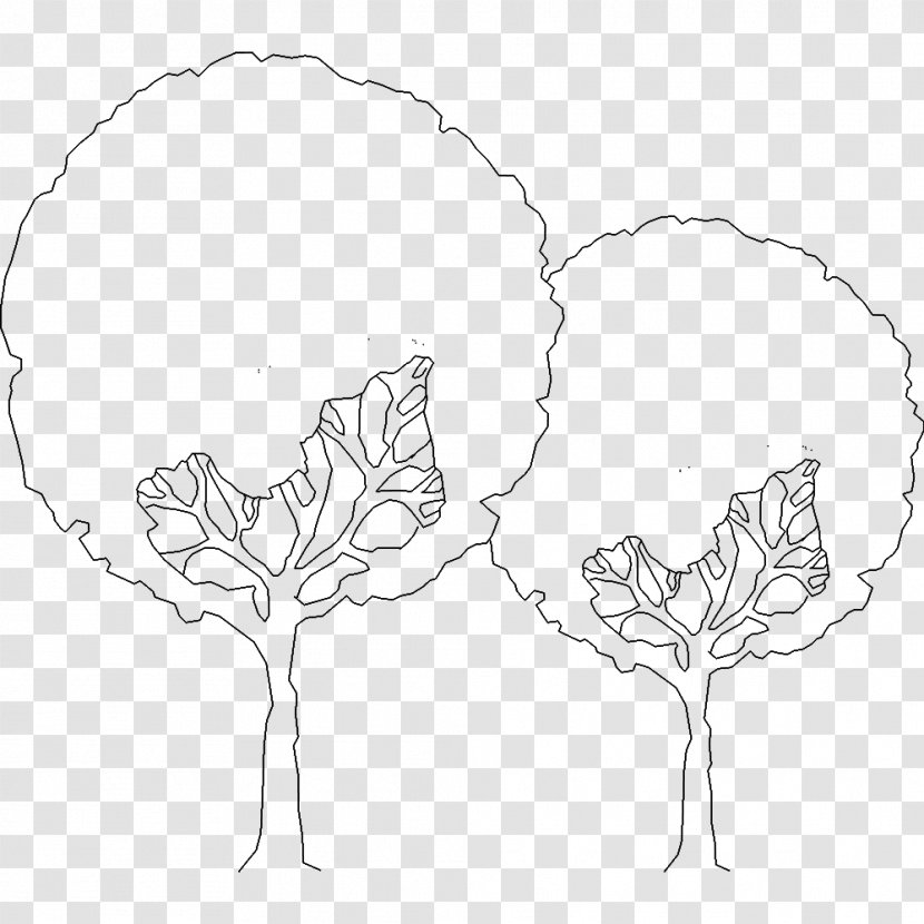 Floral Design Visual Arts Line Art - Watercolor - Tree Axonometric Transparent PNG