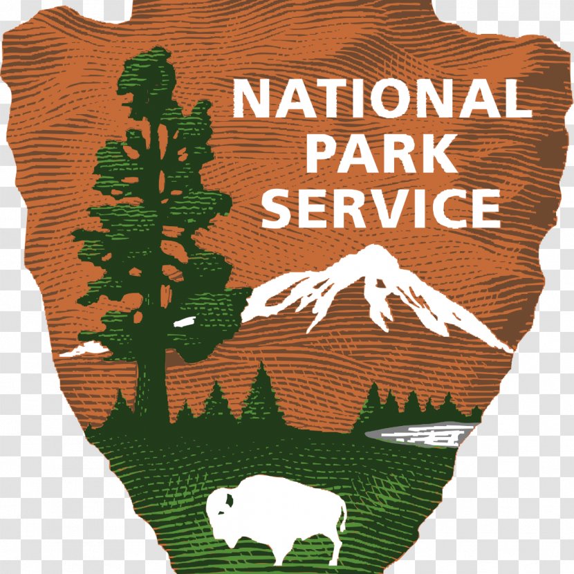 Glacier National Park Mesa Verde Sequoia Virgin Islands Service - Tree Transparent PNG