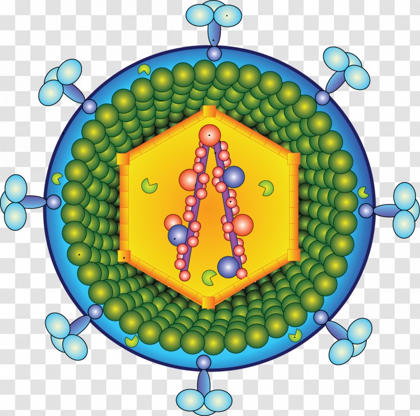 Retrovirus Virion HIV Infection - Influenza - Sterilized Virus Cell Transparent PNG