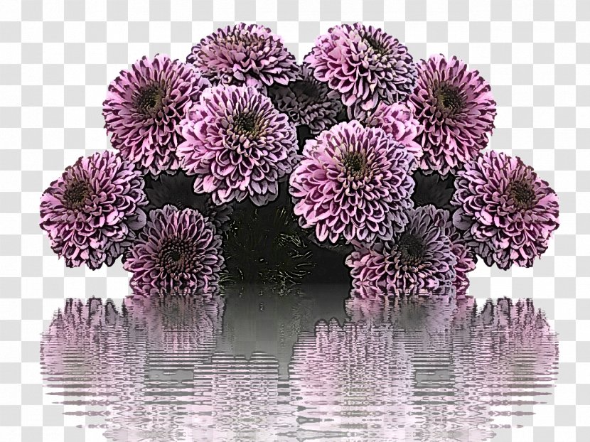 Flower Purple Plant Violet Flowering - Petal Transparent PNG