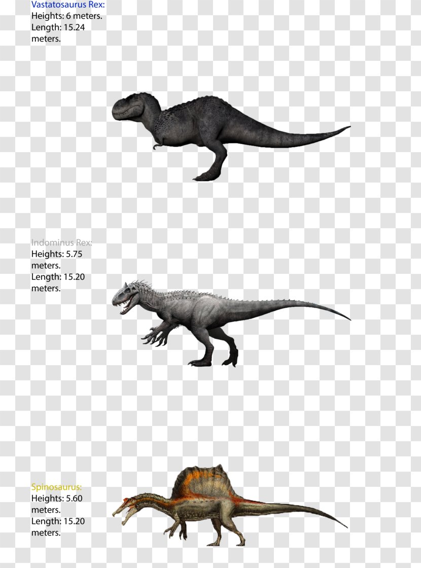Tyrannosaurus Dinosaur Size Spinosaurus Giganotosaurus Carnotaurus - King Kong Transparent PNG