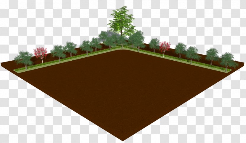 Line Roof Angle Tree - Plant Transparent PNG