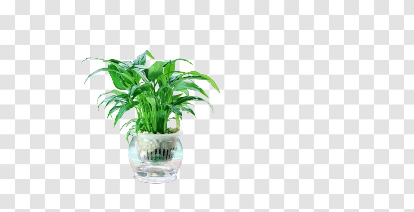 Flowerpot Houseplant Desk Humidifier - Plant Transparent PNG