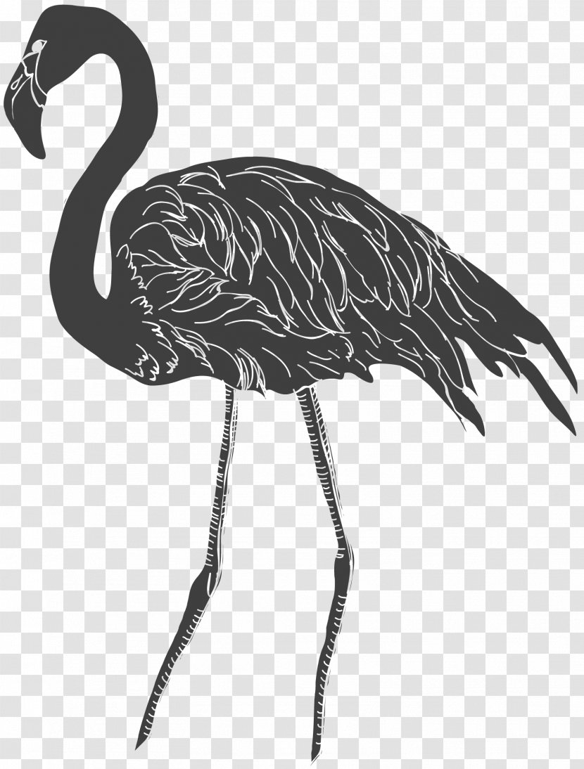 Red-crowned Crane Bird Black And White - Flamingo - Pattern Transparent PNG