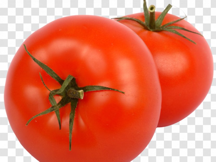 Plum Tomato Bush Vegetarian Cuisine Clip Art - Natural Foods - Vegetable Transparent PNG