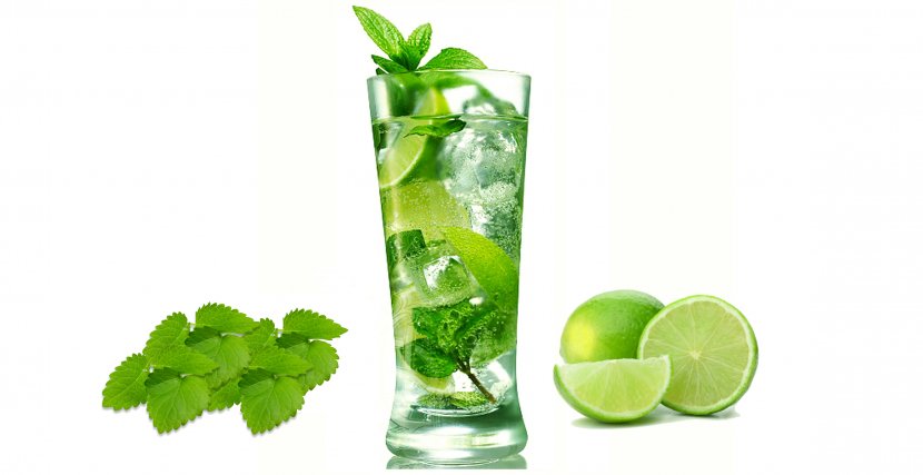 Mojito Cocktail Beer Distilled Beverage Tea - Herbal - Kiwi Transparent PNG