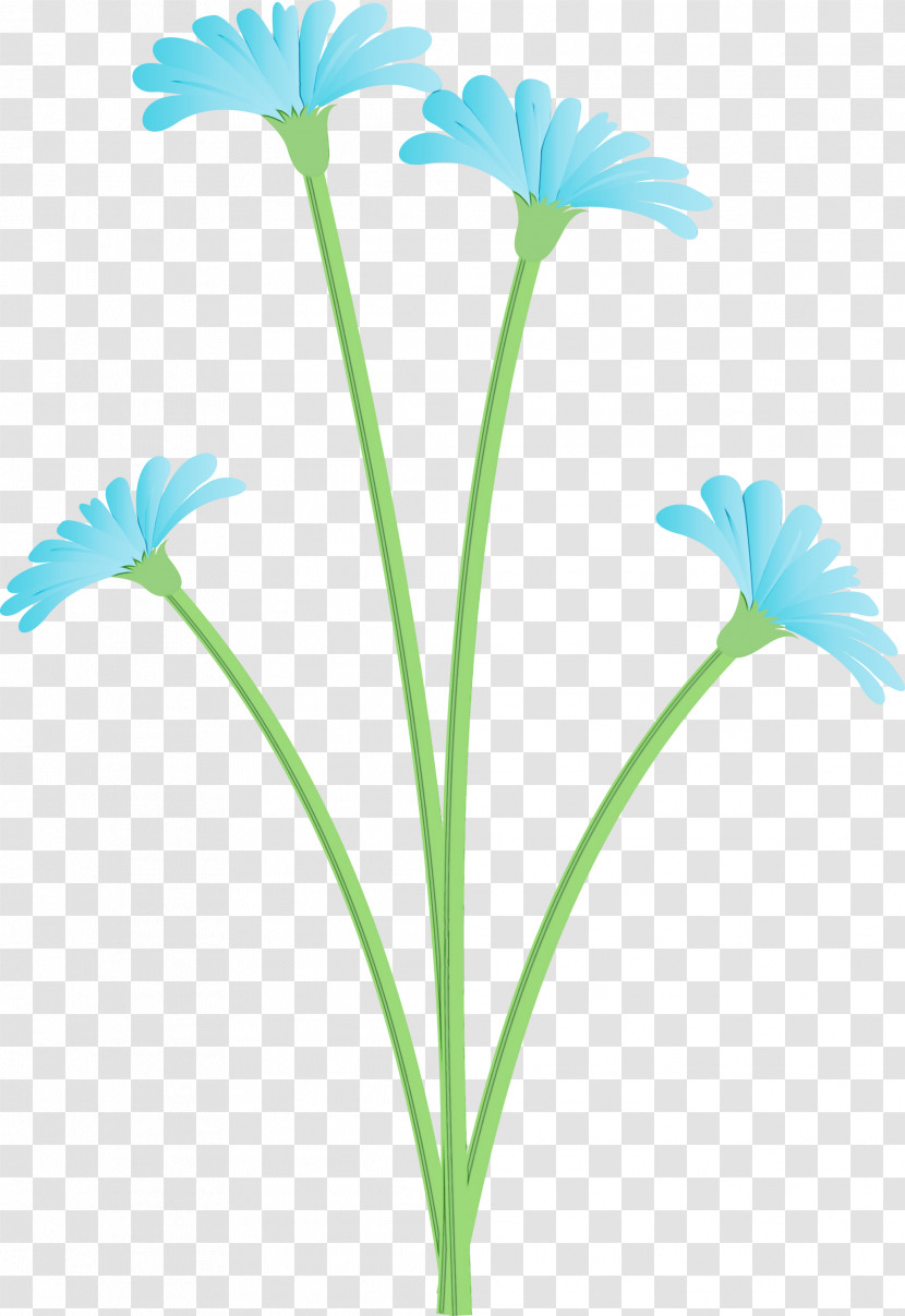 Plant Stem Daisy Family Cut Flowers Petal Flora Transparent PNG