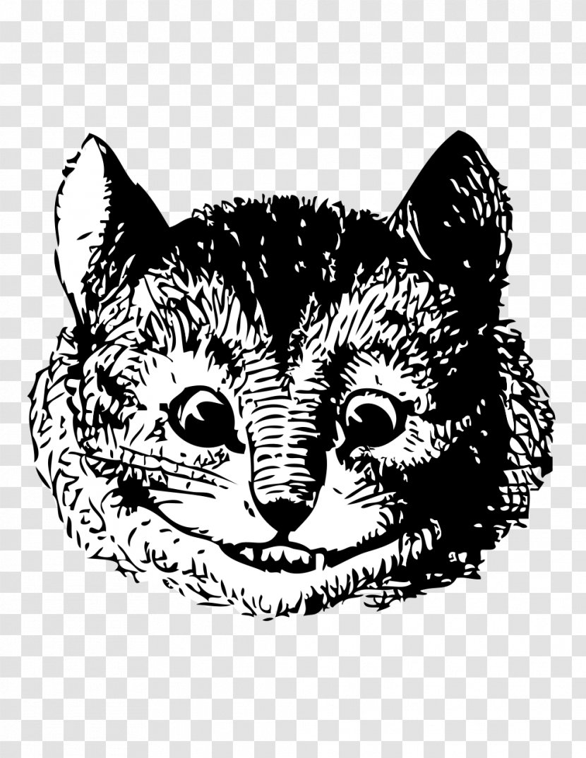 Alice's Adventures In Wonderland Cheshire Cat The Mad Hatter White Rabbit Caterpillar - John Tenniel - Illustration Transparent PNG