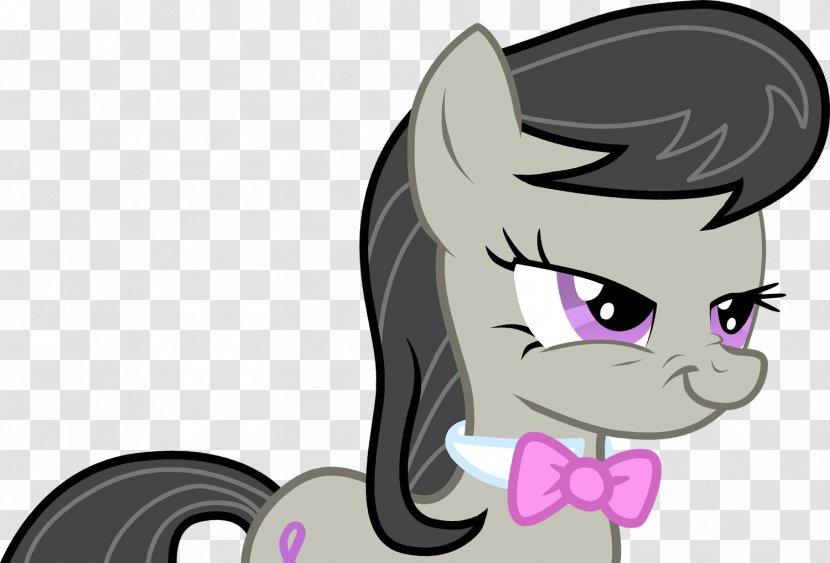 My Little Pony: Friendship Is Magic Kitten Derpy Hooves Rainbow Dash - Flower Transparent PNG