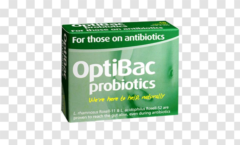 Dietary Supplement Probiotic Saccharomyces Boulardii Lactobacillus Acidophilus Gastrointestinal Tract - Gut Flora - Antibiotic Transparent PNG