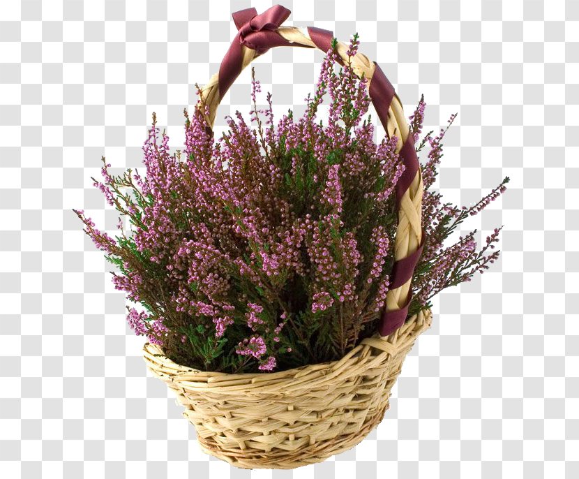 Food Gift Baskets Wicker Calluna - Herb - Stock Photography Transparent PNG