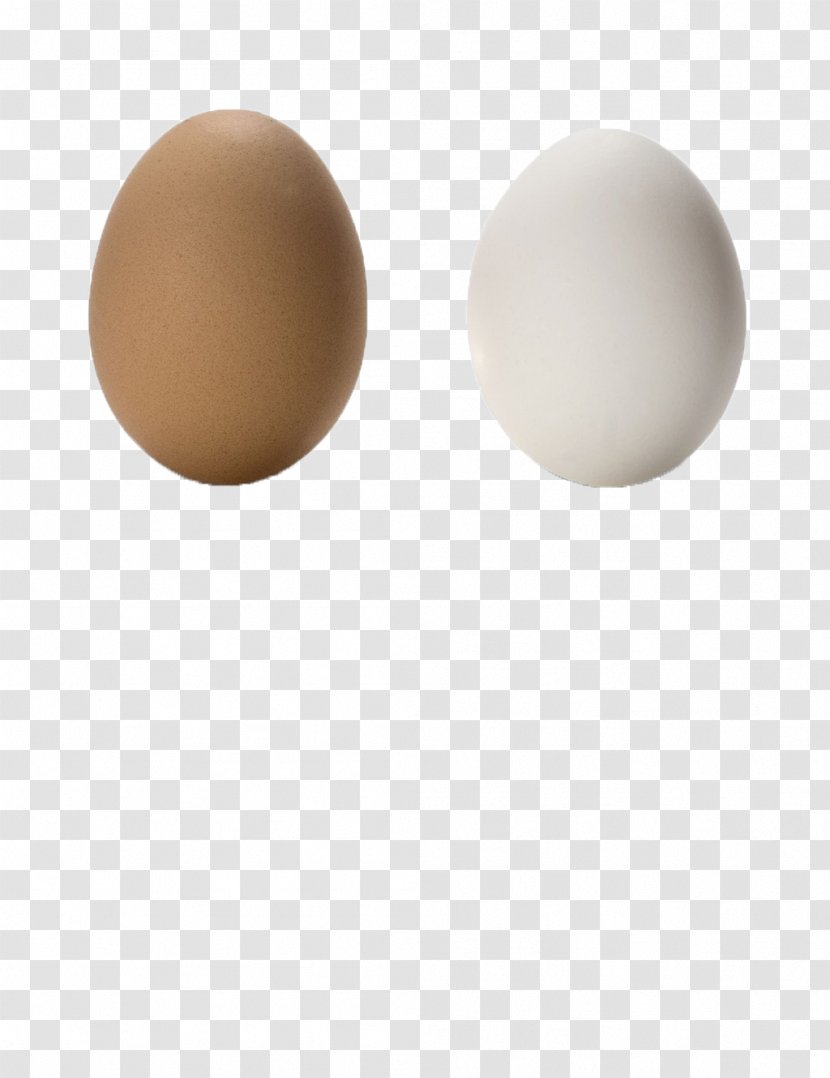Chicken Egg - Grey Transparent PNG