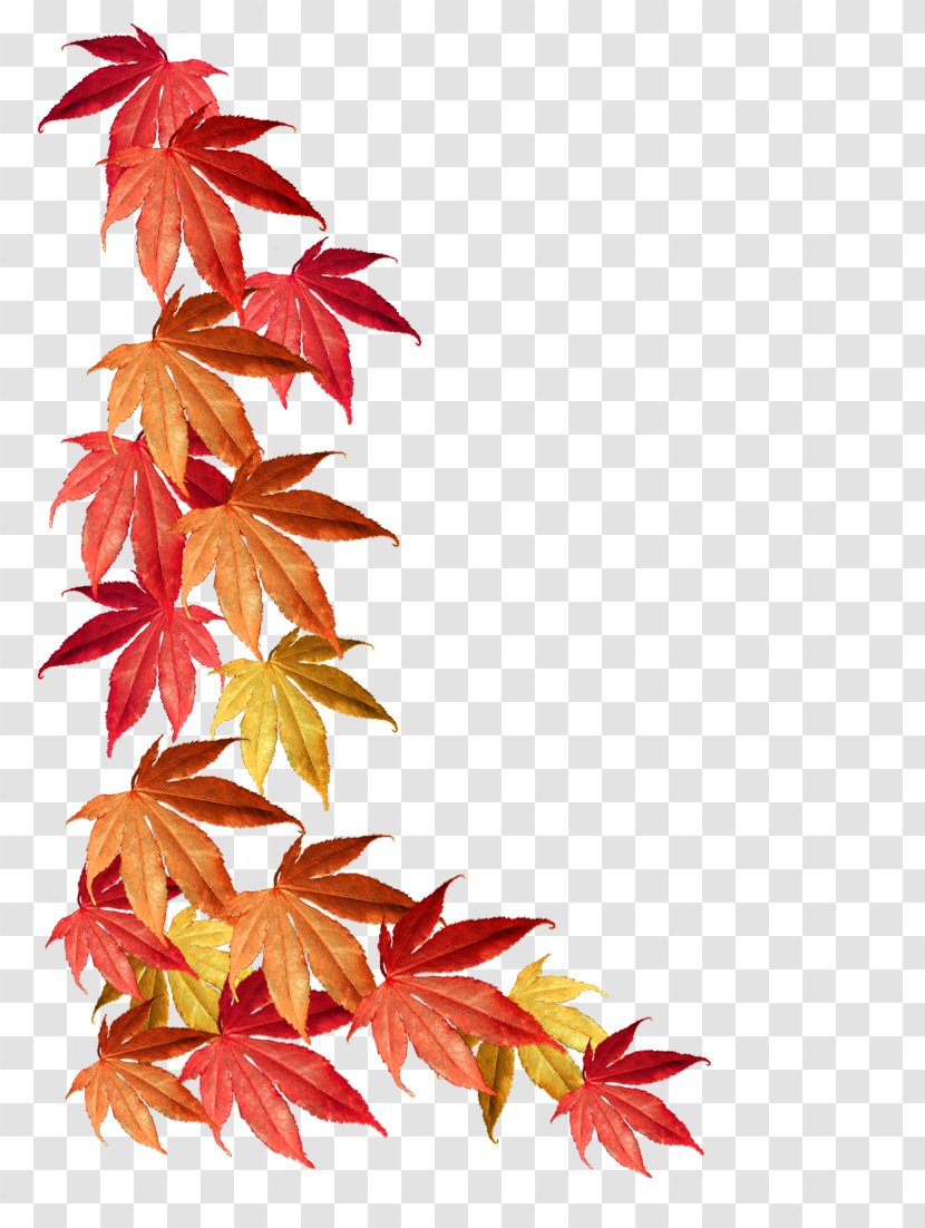 Borders And Frames Maple Leaf Autumn Color - Leaves Transparent PNG