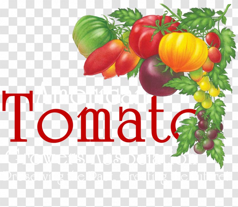Tomato Soup Brandywine Italian Pie Organic Food Heirloom - Colorful Strips Transparent PNG