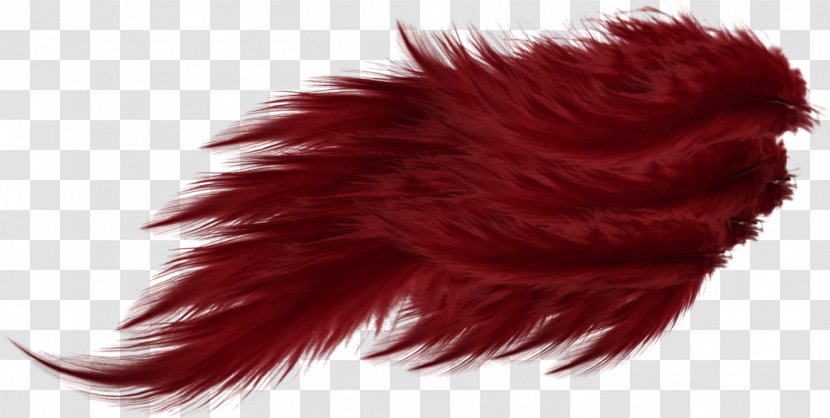 Red Feather Wing - Drawing - Beautiful Feathers Transparent PNG