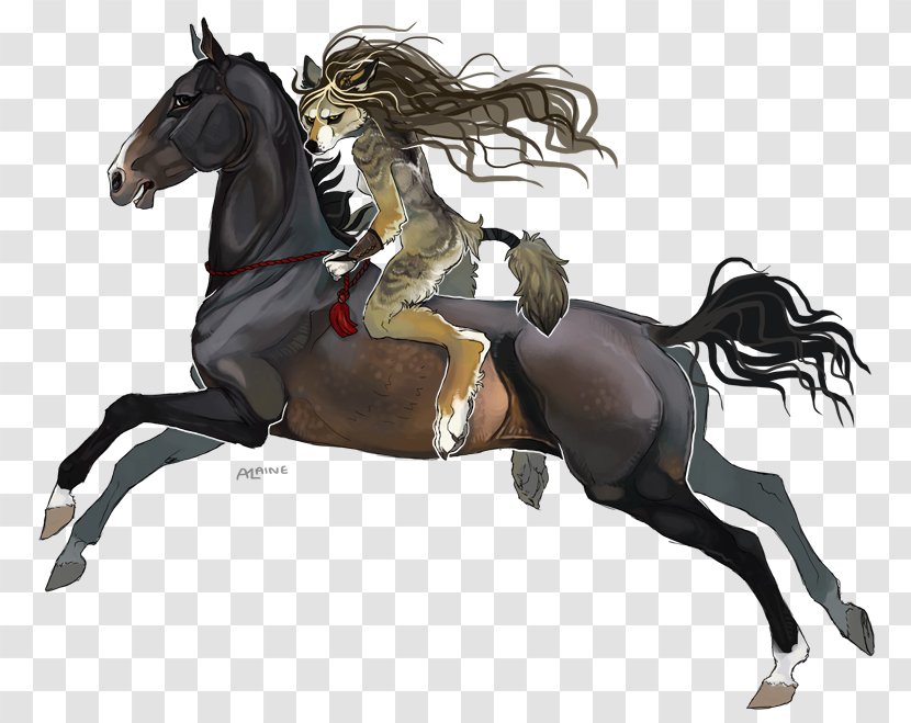 Mustang English Riding Rein Stallion Equestrian - Quiet Gestures Transparent PNG
