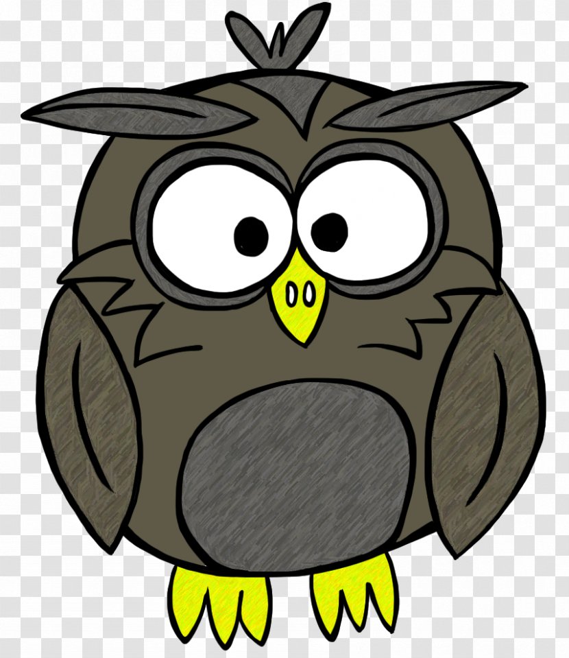 Owl Beak Forest Clip Art Transparent PNG