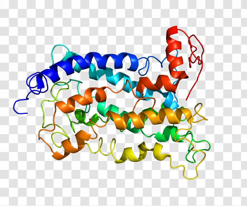 CCR2 Chemokine Receptor P2Y12 - Structure - Artwork Transparent PNG