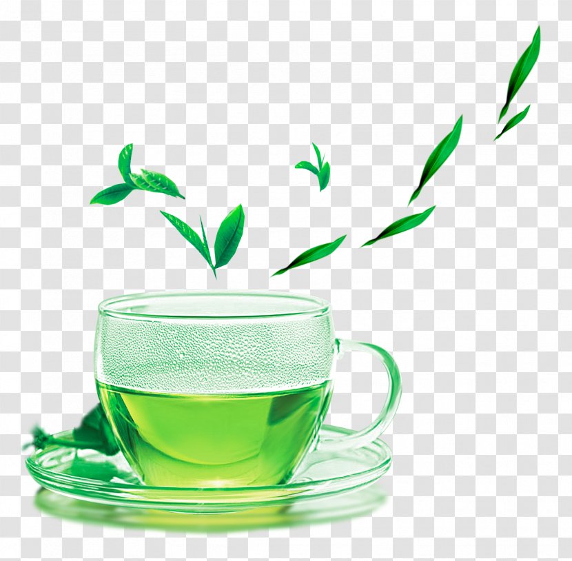 Green Tea Yum Cha The Classic Of Meitan County - Teacup Transparent PNG