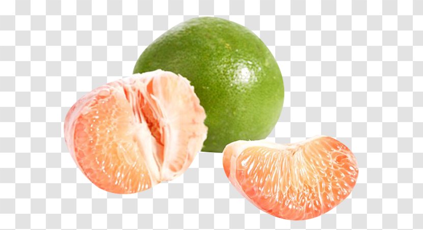 Clementine Grapefruit Tangerine Pomelo Lime - Add Vitamin Meat Transparent PNG