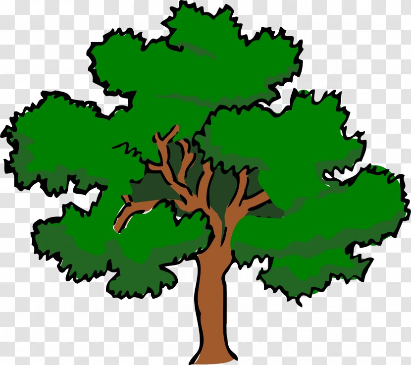 Tree Southern Live Oak Clip Art - Silhouette - Fir-tree Transparent PNG