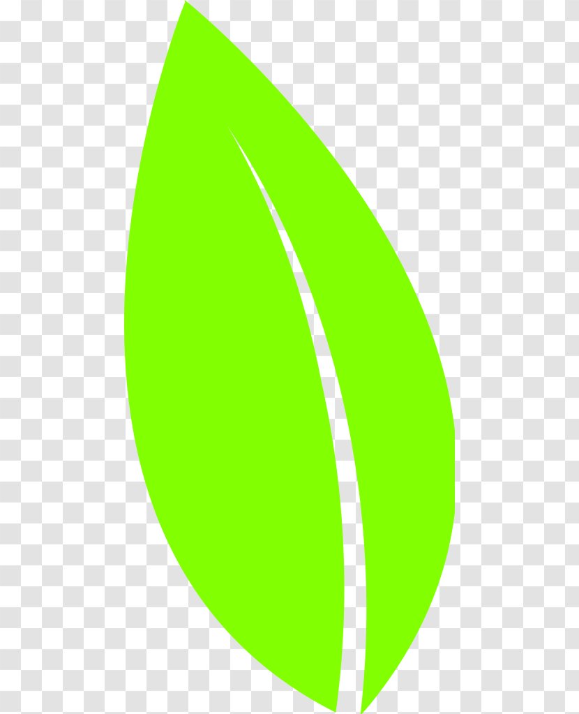 Clip Art - Computer Software - Green Leaf Icon Transparent PNG