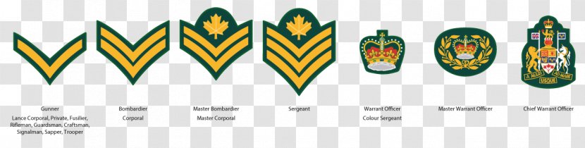 Army Cadet Force Military Rank Medicine Hat Organization - Non Commissioned Officer Transparent PNG