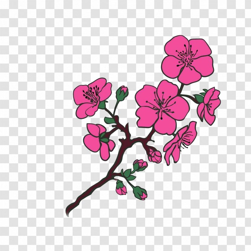 Cherry Blossom Tree Photography - Red Hand-painted Transparent PNG