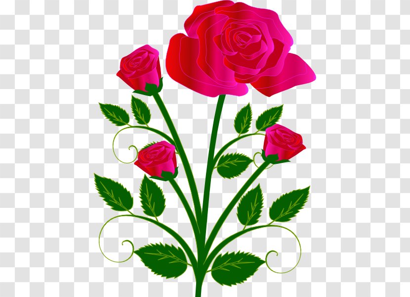 Rose Free Content Clip Art - Floristry - Pink Roses Photo Transparent PNG