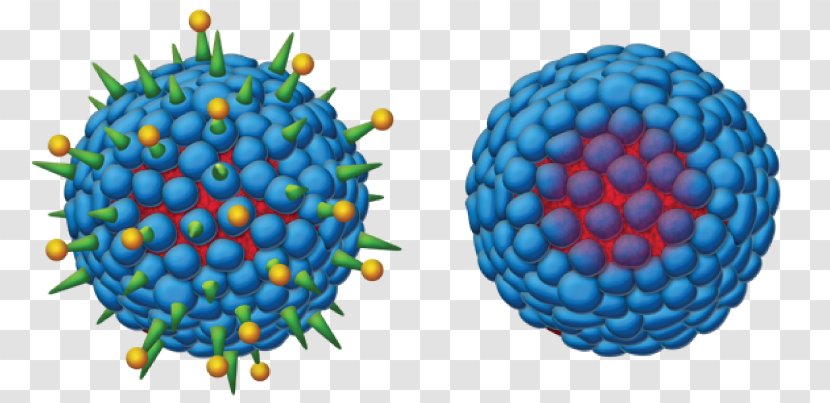 Hepatitis B Virus Vaccine Viral - Zika Transparent PNG