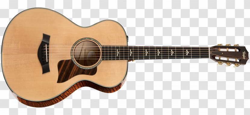 Twelve-string Guitar Taylor Guitars Acoustic-electric Acoustic String Instruments - Watercolor Transparent PNG